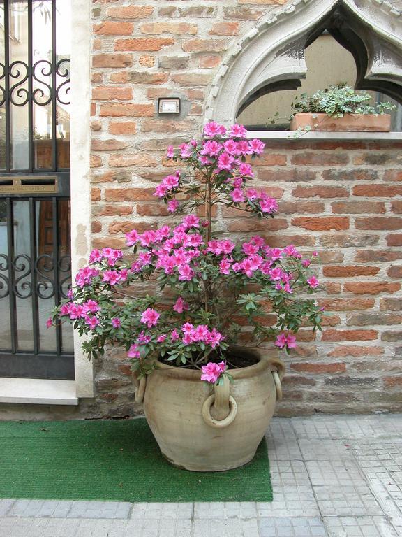 דירות ונציה Al Campanile Madonna Dell'Orto מראה חיצוני תמונה